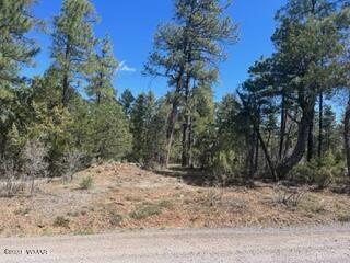 Tbd Rim Spur Lakeside, AZ 85929 - Photo 4 of 5