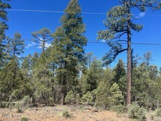 Tbd Rim Spur Lakeside, AZ 85929 - Photo 5 of 5