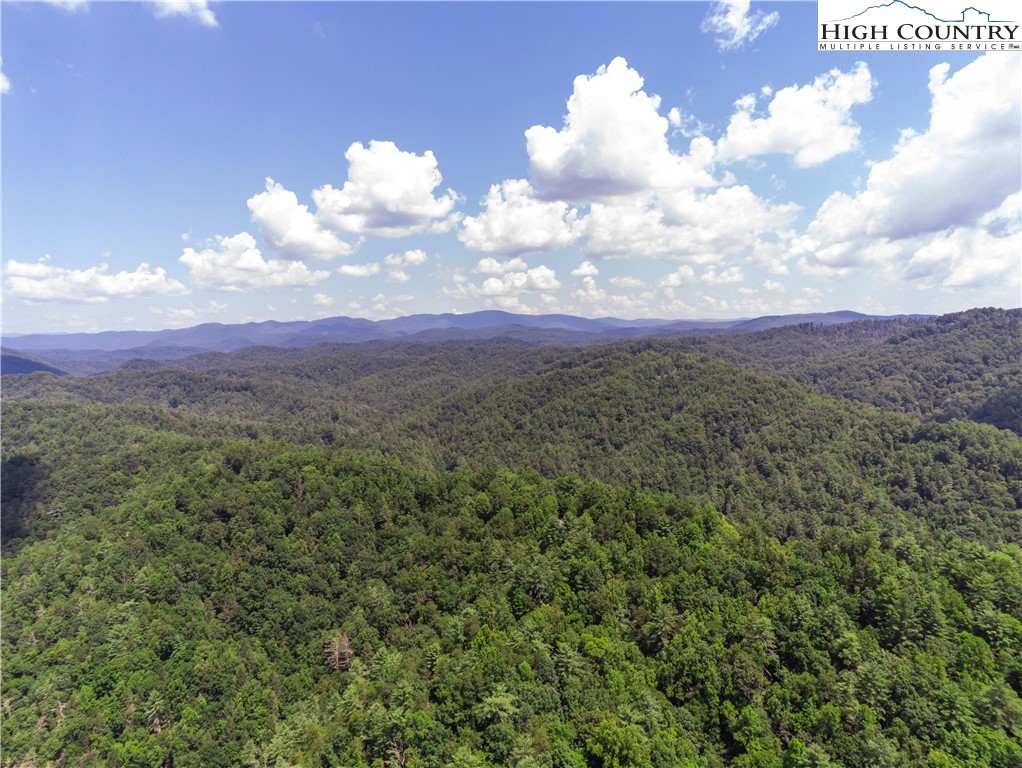 160 Buckaroo Road Ferguson, NC 28624 - Photo 2 of 45