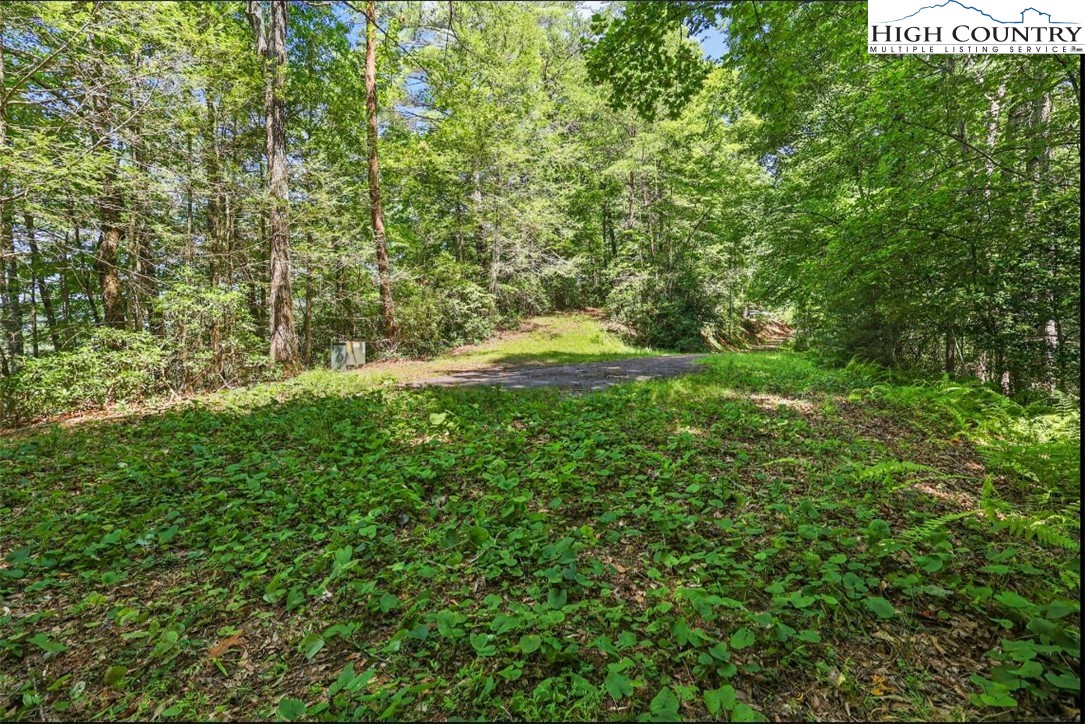 160 Buckaroo Road Ferguson, NC 28624 - Photo 41 of 45