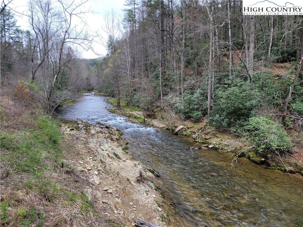160 Buckaroo Road Ferguson, NC 28624 - Photo 44 of 45