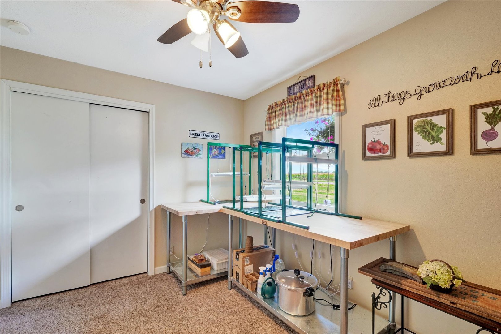 949 Catlin Homer Road Homer, IL 61849 - Photo 13 of 33