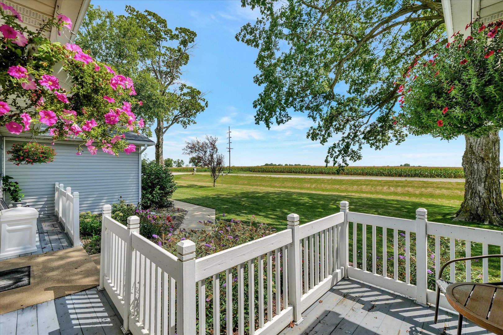 949 Catlin Homer Road Homer, IL 61849 - Photo 3 of 33