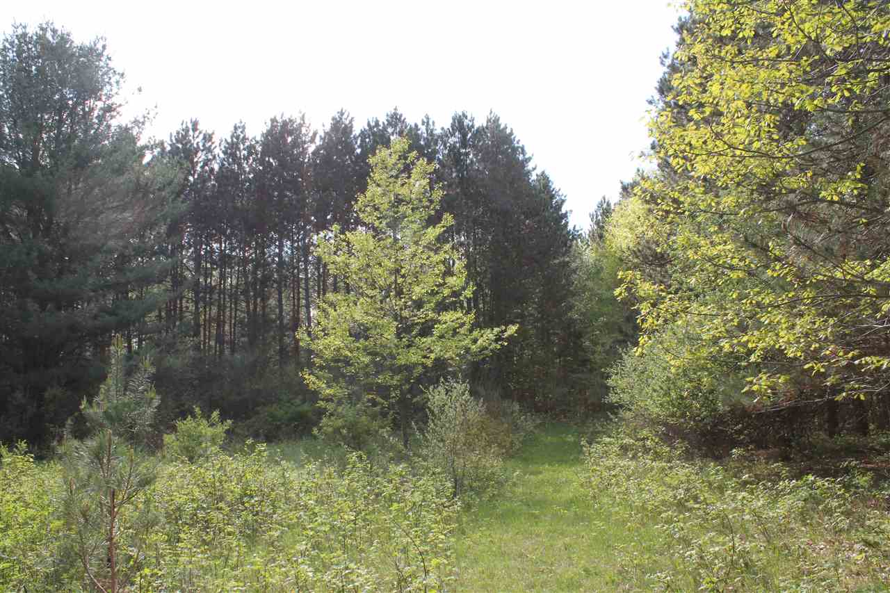 West Broomfield Road Remus, MI 49340 - Photo 31 of 32 1800166-30.JPG