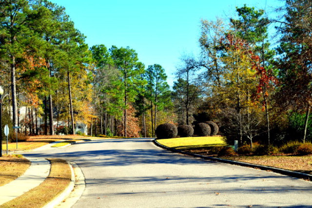 204 Steeple Ridge Road Aiken, SC 29803 - Photo 9 of 10 Gallery Image 9