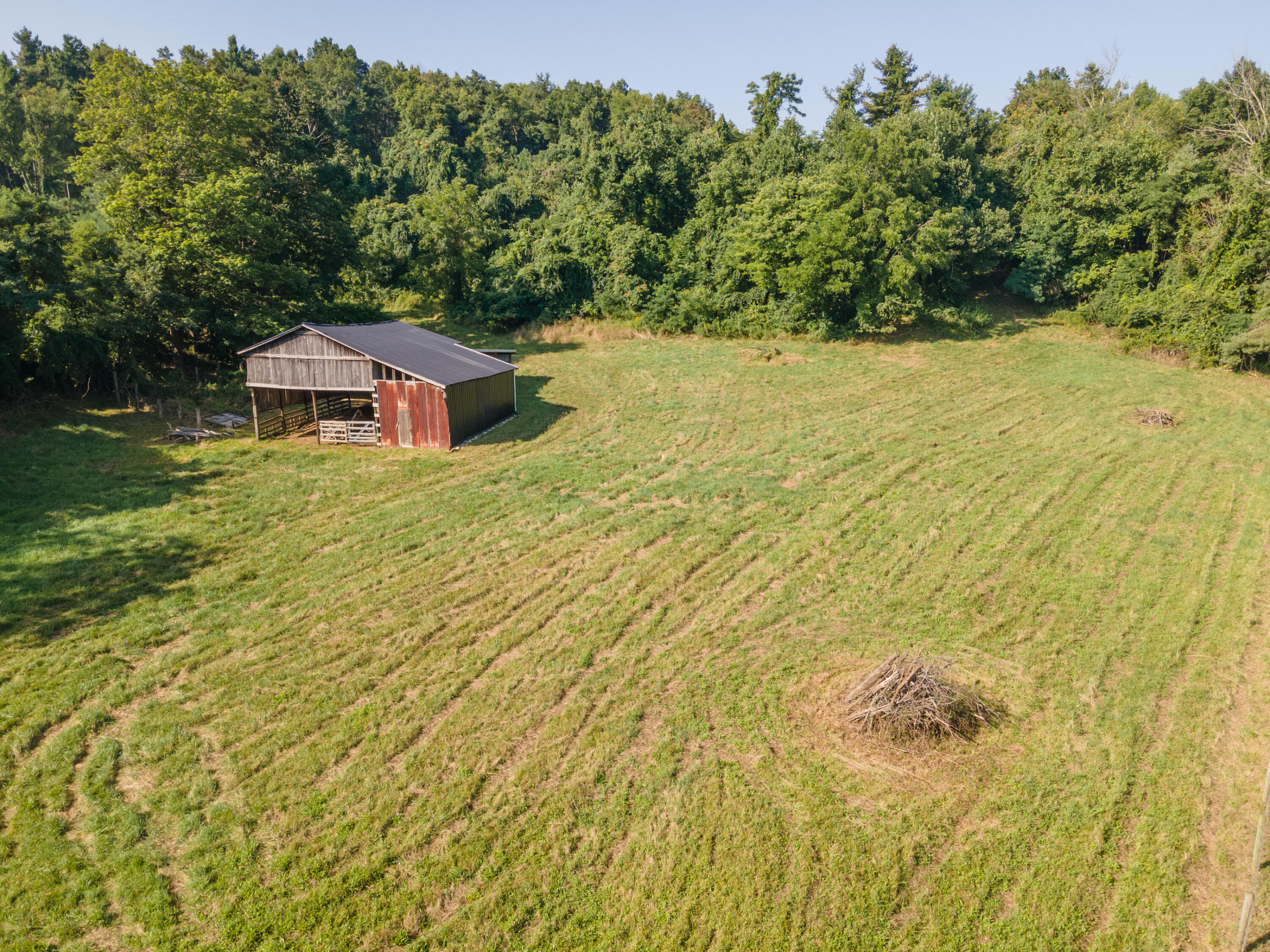 7950 Conner Road Northeast Copper Hill, VA 24079 - Photo 12 of 39 a view of a big yard with large trees