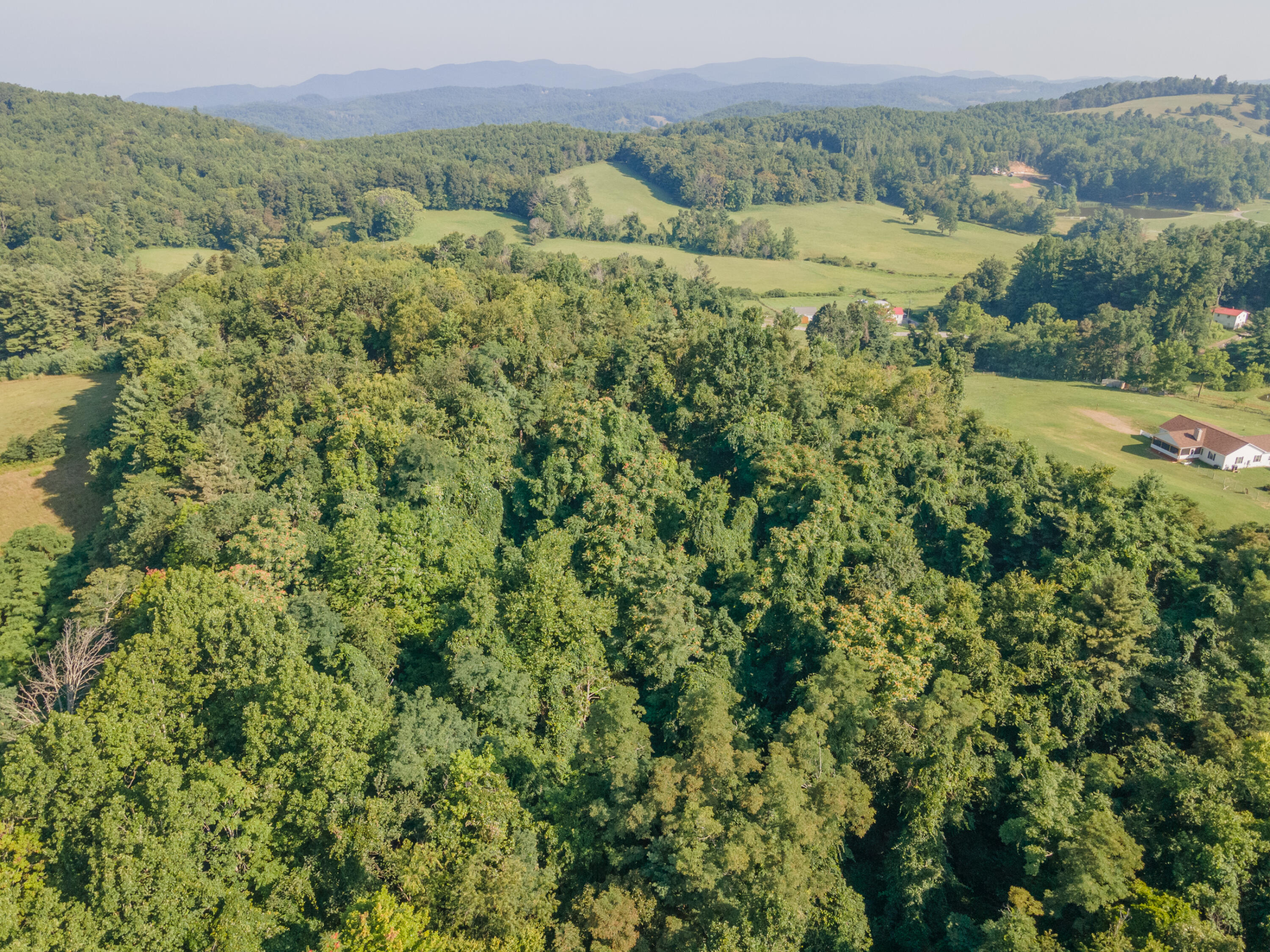 7950 Conner Road Northeast Copper Hill, VA 24079 - Photo 21 of 39 a view of a lush green field with lots of bushes