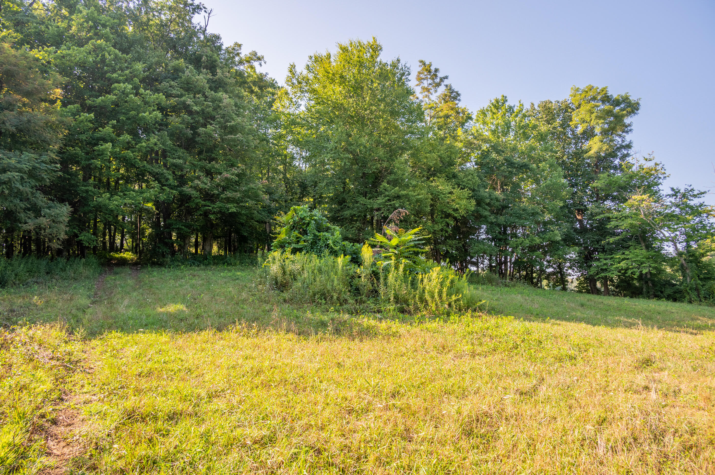 7950 Conner Road Northeast Copper Hill, VA 24079 - Photo 23 of 39