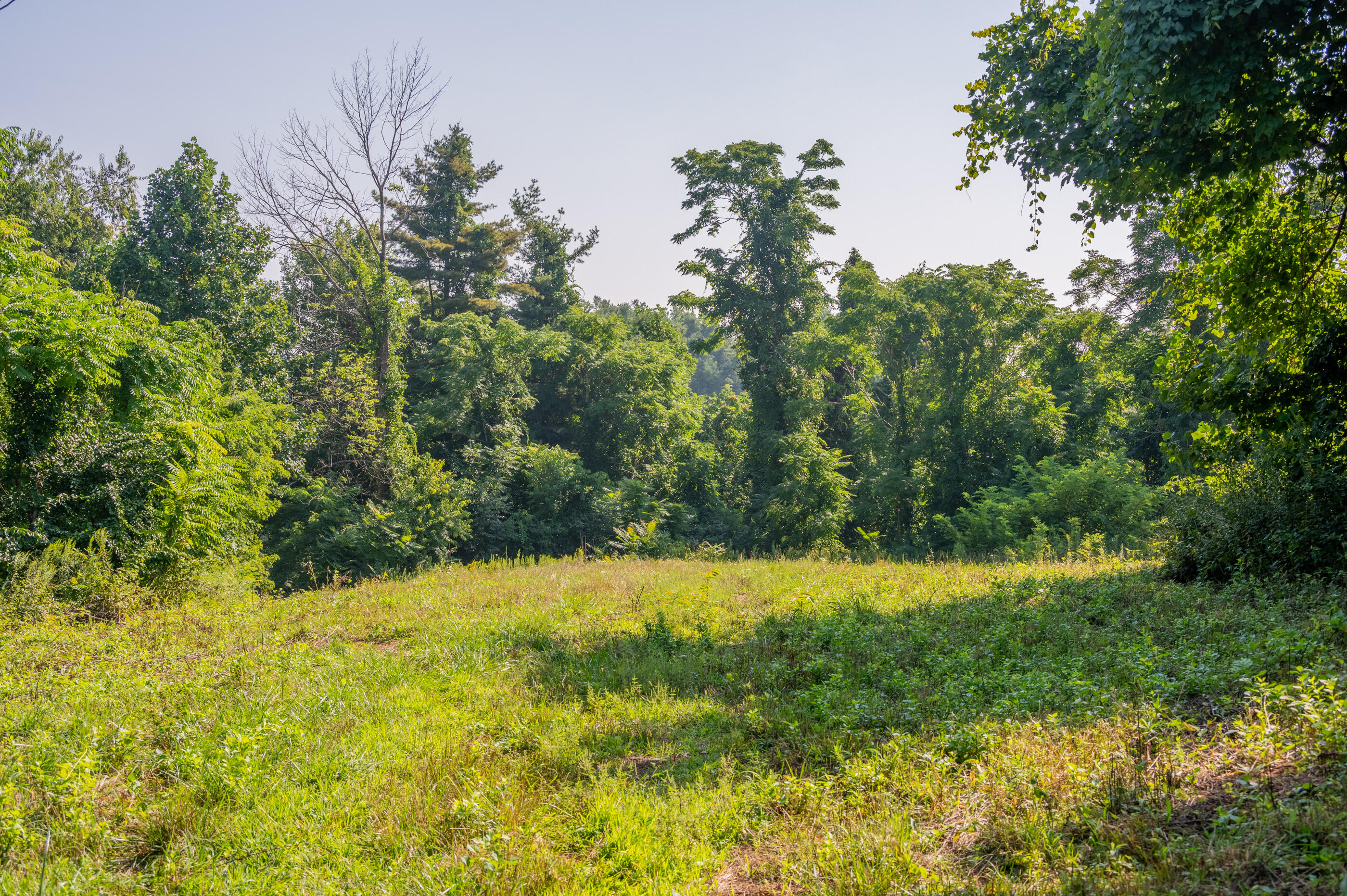 7950 Conner Road Northeast Copper Hill, VA 24079 - Photo 25 of 39 a view of yard with green space