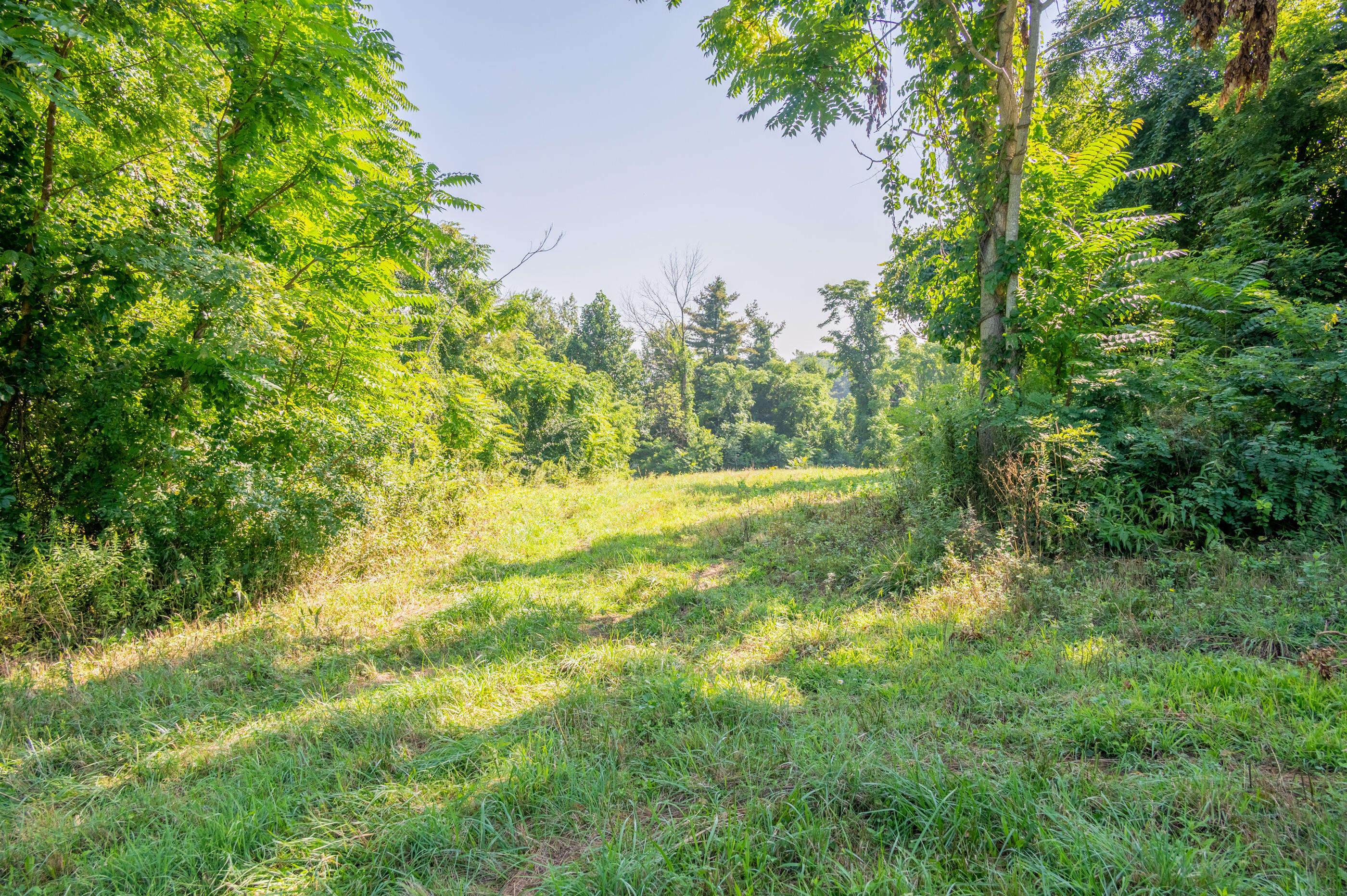 7950 Conner Road Northeast Copper Hill, VA 24079 - Photo 26 of 39 a view of yard with green space