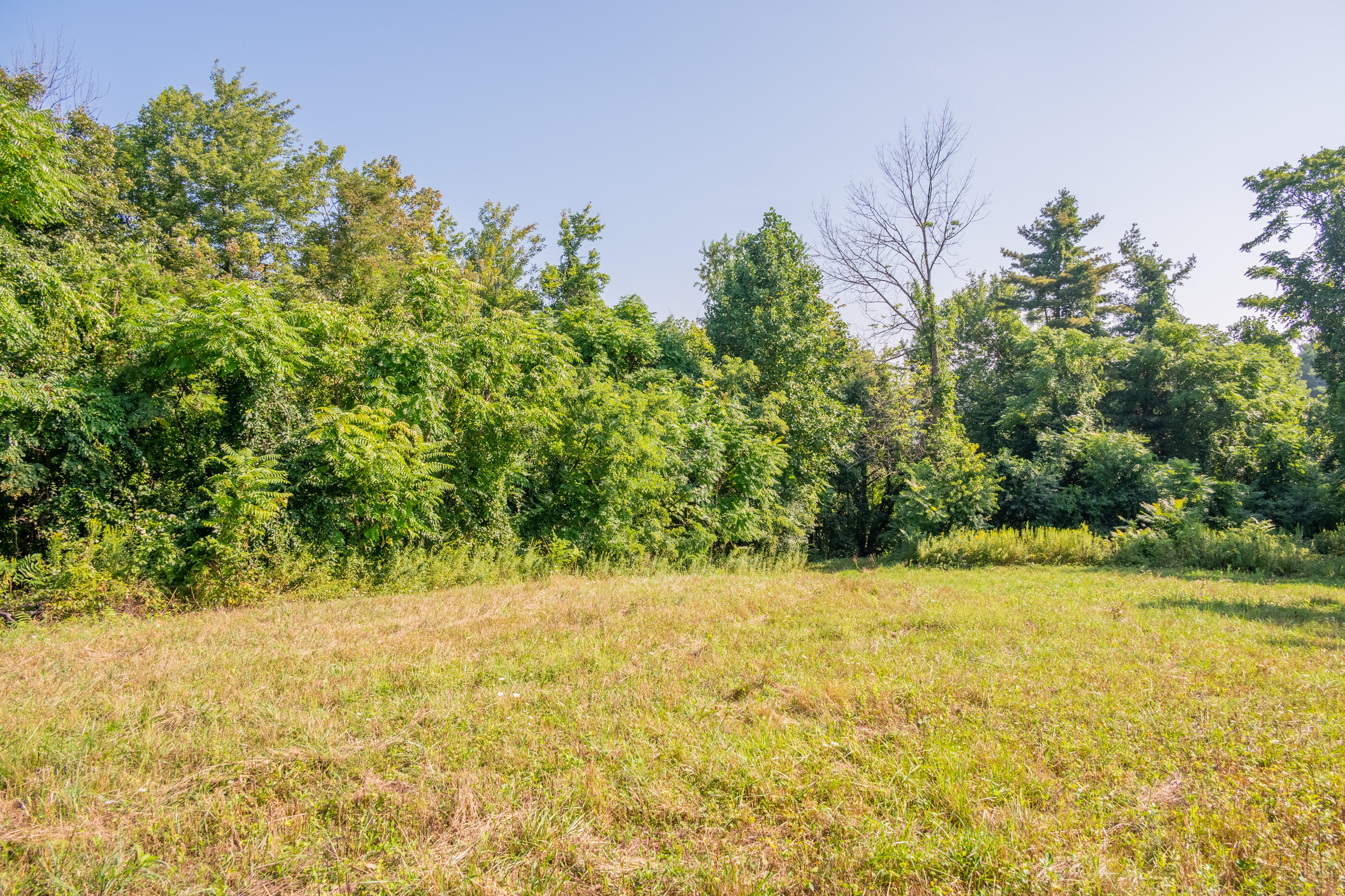 7950 Conner Road Northeast Copper Hill, VA 24079 - Photo 28 of 39 a view of white trees with a yard