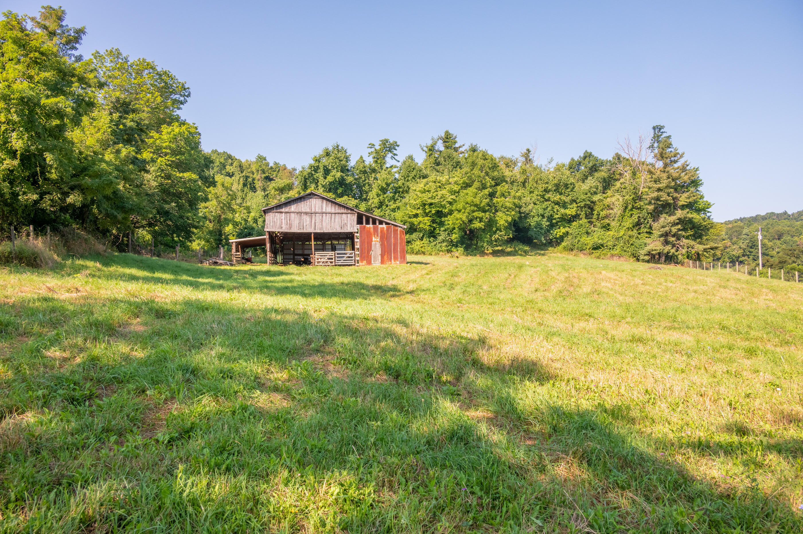 7950 Conner Road Northeast Copper Hill, VA 24079 - Photo 30 of 39 a view of a large garden with plants and large trees