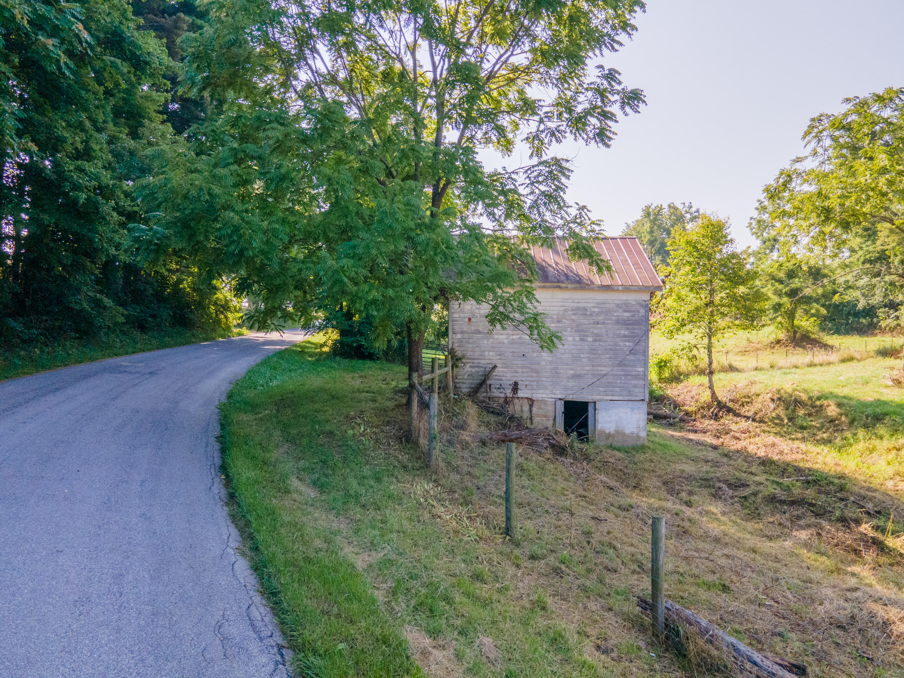 7950 Conner Road Northeast Copper Hill, VA 24079 - Photo 36 of 39 a view of a yard with plants and a large tree