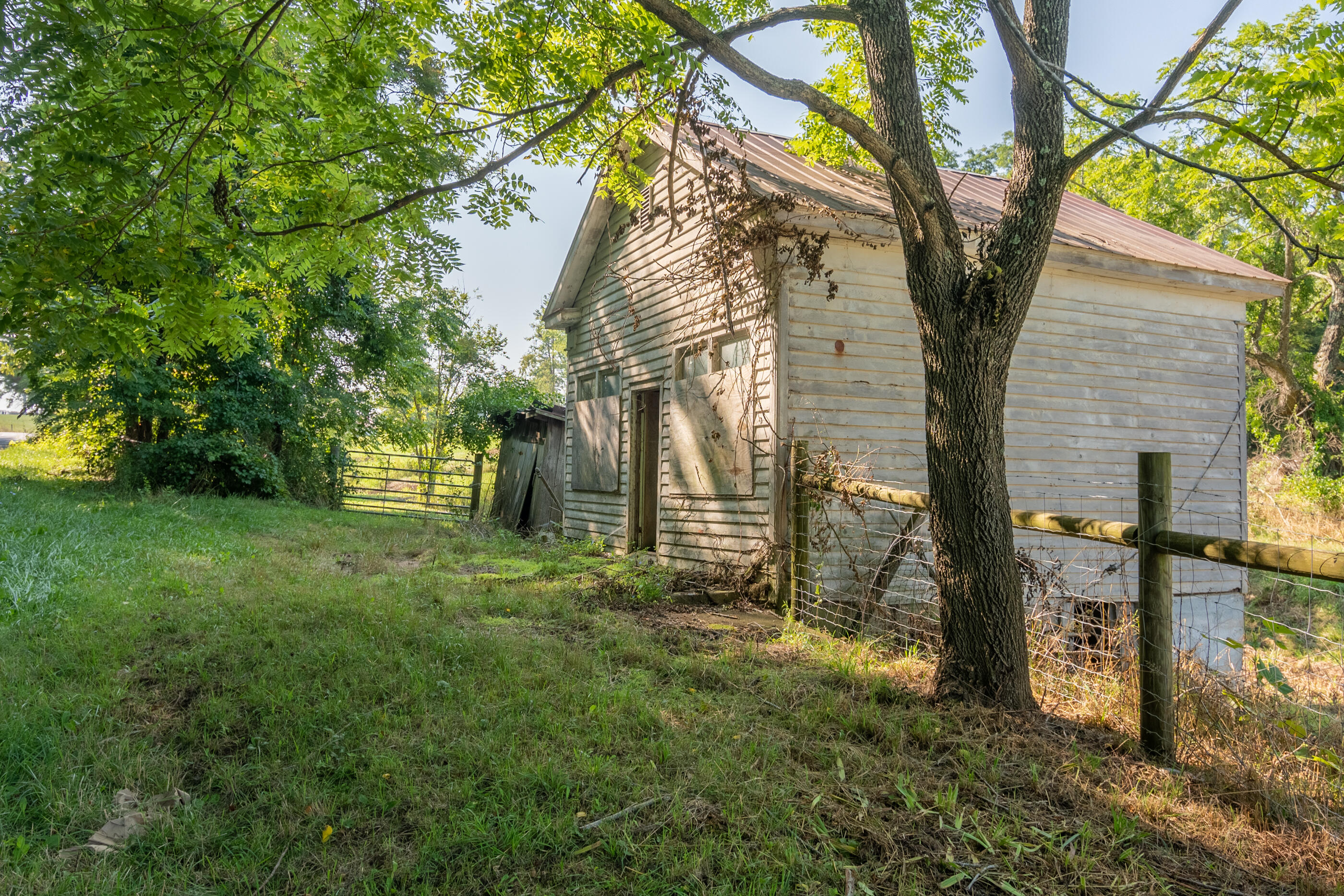 7950 Conner Road Northeast Copper Hill, VA 24079 - Photo 39 of 39 a view of a yard with plants and a large tree