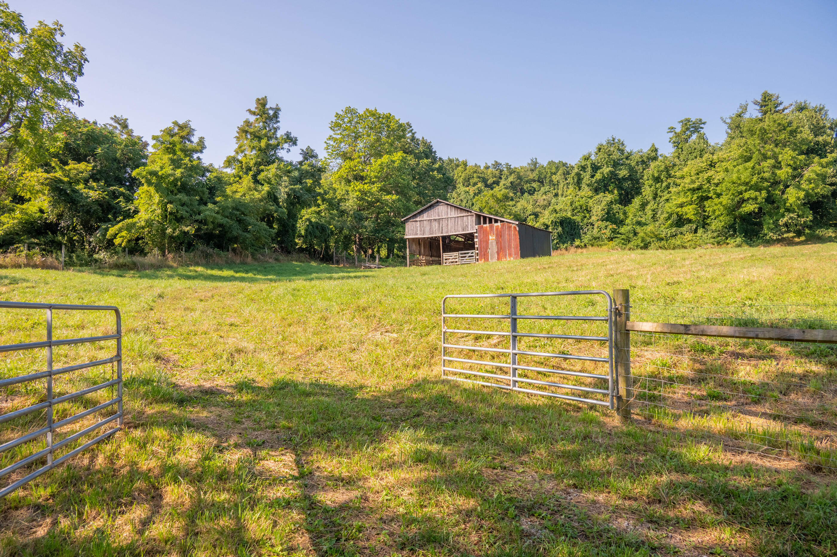 7950 Conner Road Northeast Copper Hill, VA 24079 - Photo 7 of 39 a view of a garden
