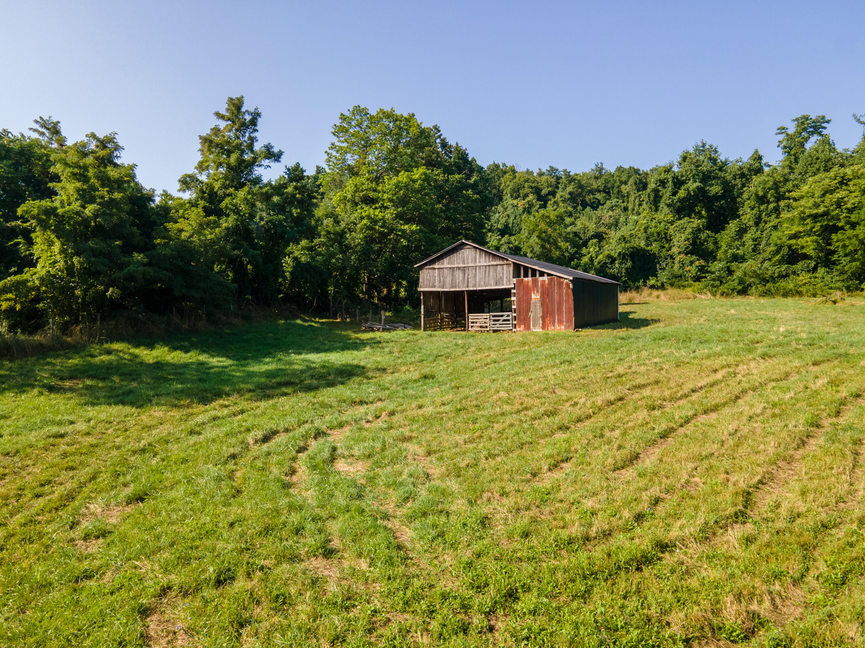 7950 Conner Road Northeast Copper Hill, VA 24079 - Photo 9 of 39 a house view with a garden space