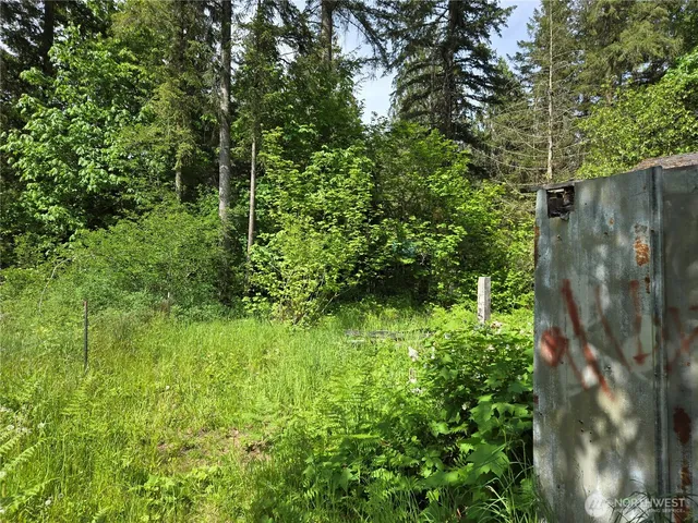 $200,000 | 46400 Baker Loop Road, Concrete, WA 98237