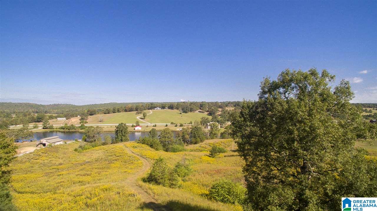 Lot 10 Whispering Pines Road, Unit 10 Vincent, AL 35178 - Photo 5 of 25