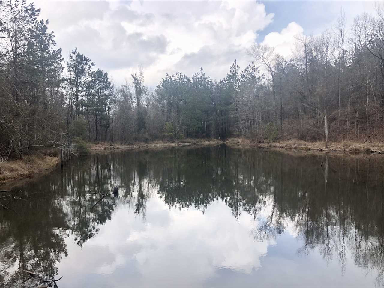 3021 Didlake Road Crystal Springs, MS 39059 - Photo 45 of 47 Photo 45