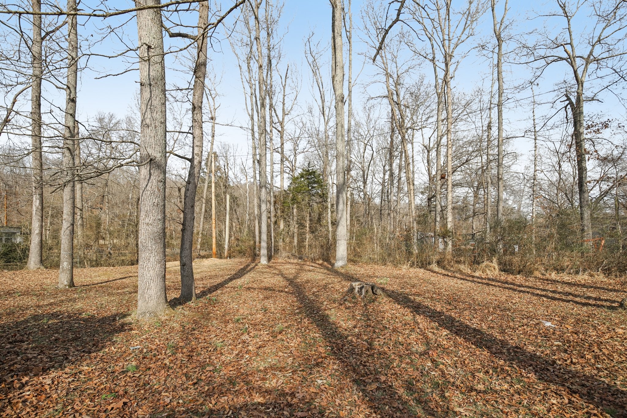 249 Hillcrest Road Kingston Springs, TN 37082 - Photo 12 of 13