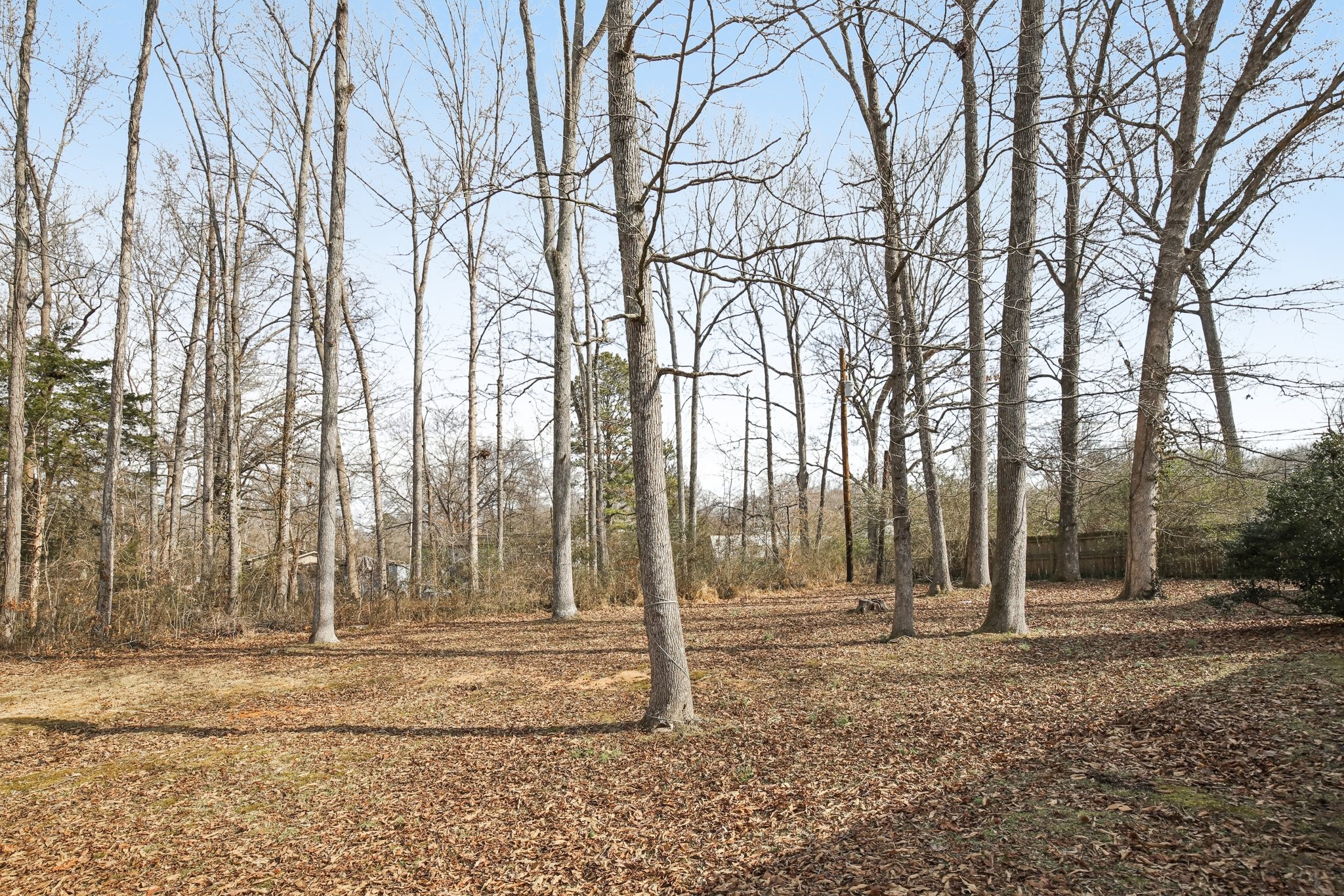 249 Hillcrest Road Kingston Springs, TN 37082 - Photo 13 of 13