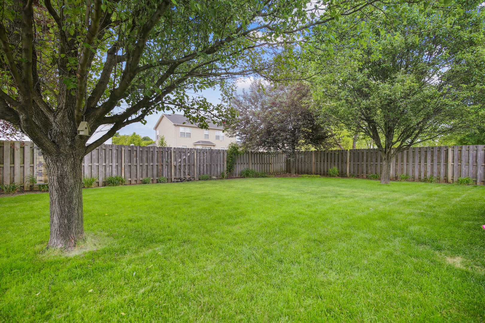 809 Lavender Drive Savoy, IL 61874 - Photo 25 of 27 a view of a backyard with a garden