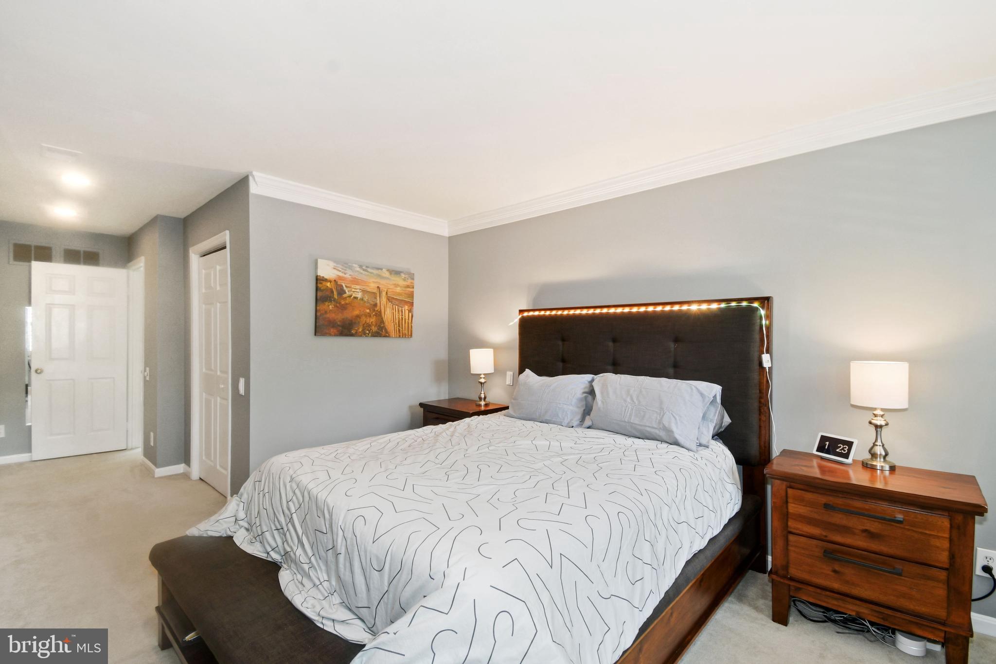 1203 Portner Road Alexandria, VA 22314 - Photo 18 of 40 Sunny West Exposure Master Bedroom
