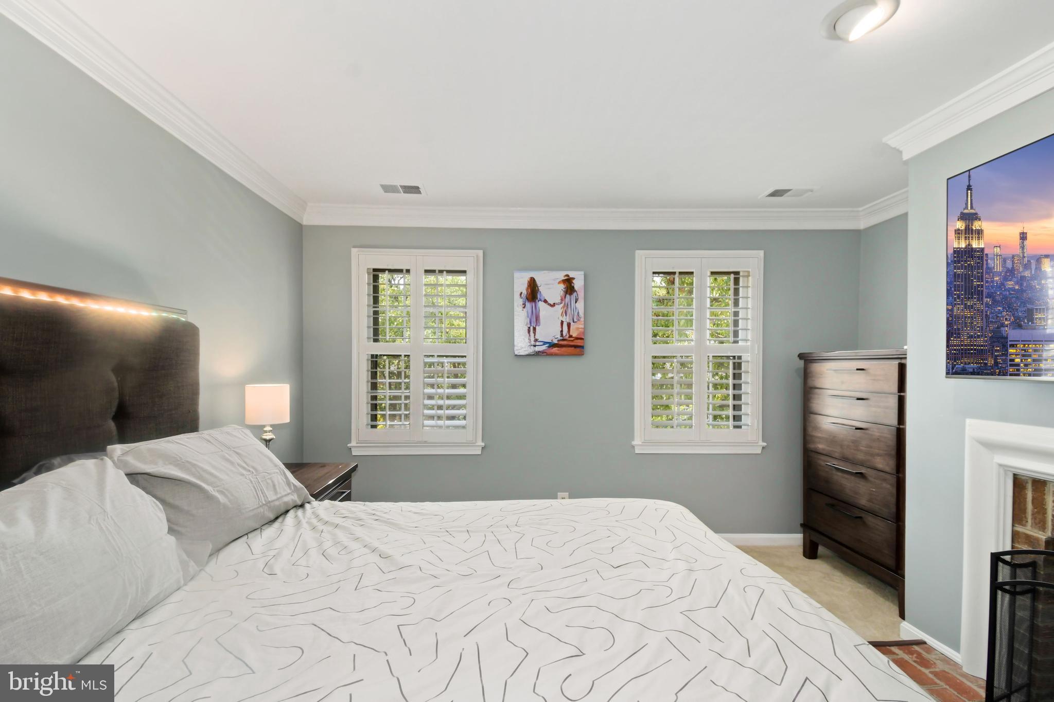 1203 Portner Road Alexandria, VA 22314 - Photo 21 of 40 Plantation Shutters