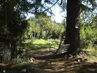 225 Dutton Avenue Sebastopol, CA 95472 - Photo 2 of 10 a view of a yard with plants and large trees