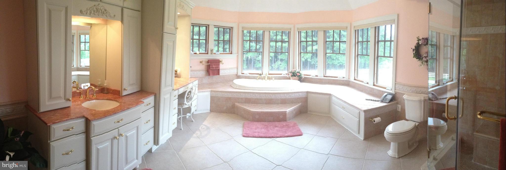 22969 Rabbit Cove Road Wittman, MD 21676 - Photo 23 of 30 Bath (Master)
