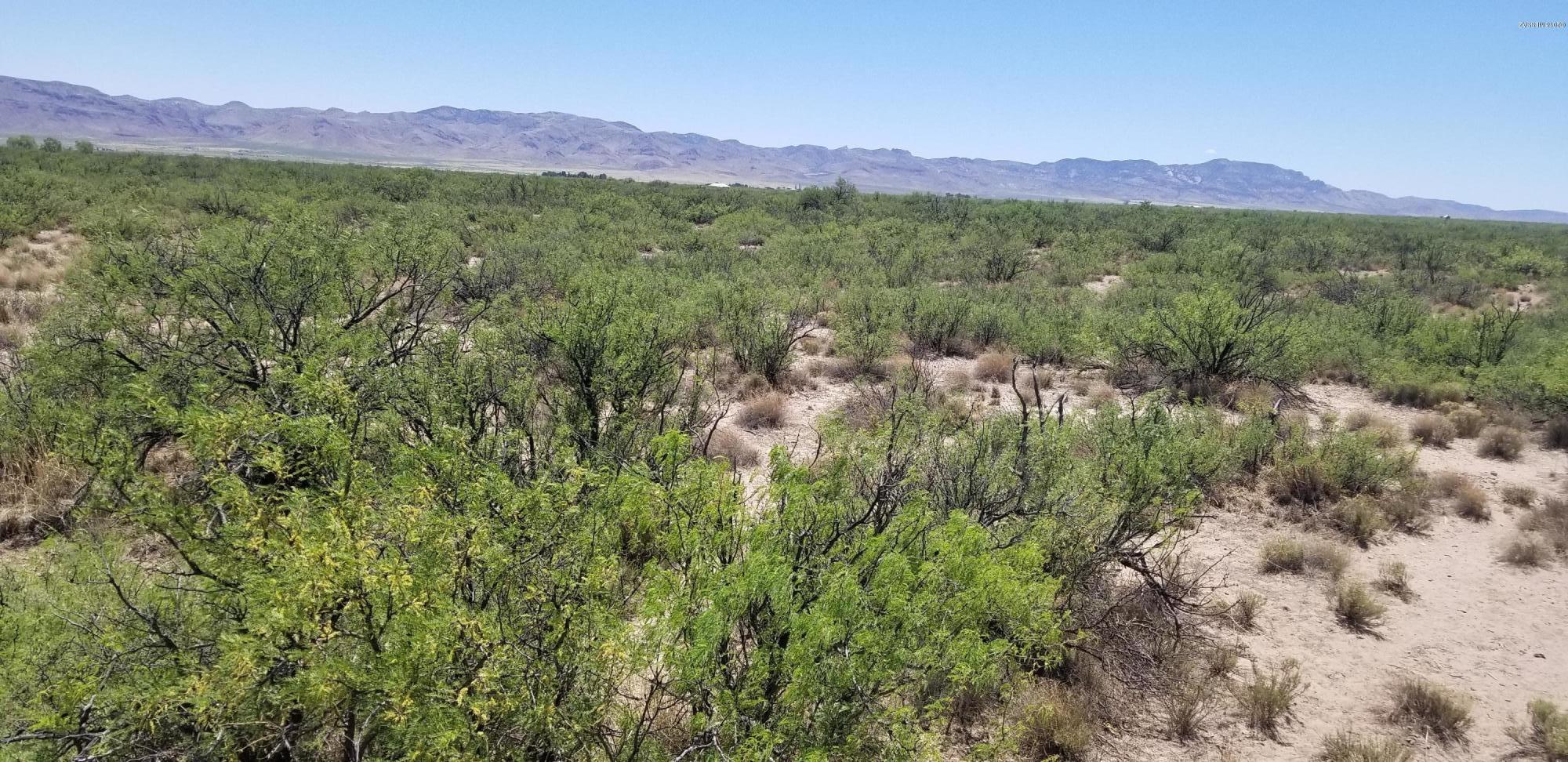 Tbd North Eagle Ridge Trail, Unit 14 San Simon, AZ 85632 - Photo 14 of 48