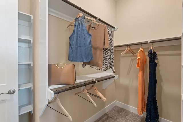 a bathroom with a shower and a sink