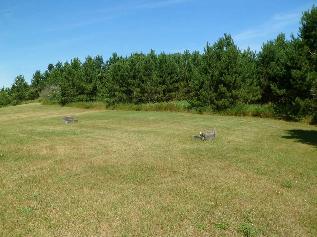 7056 West Drew Road Weidman, MI 48893 - Photo 20 of 20 1803616-19.JPG