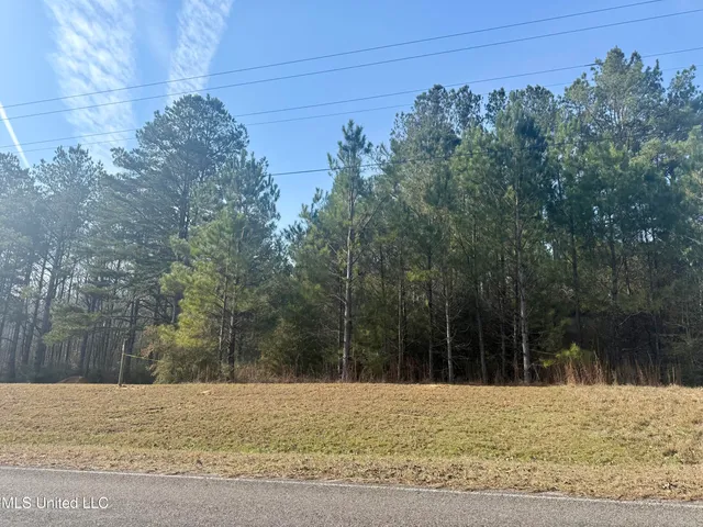 $16,650 | Mullins Circle, Jayess, MS 39641
