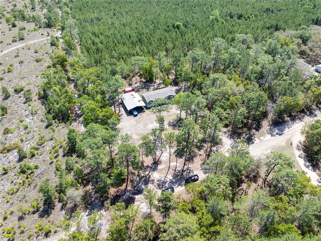 221 Magnolia Road Hawthorne, FL 32640 - Photo 21 of 41