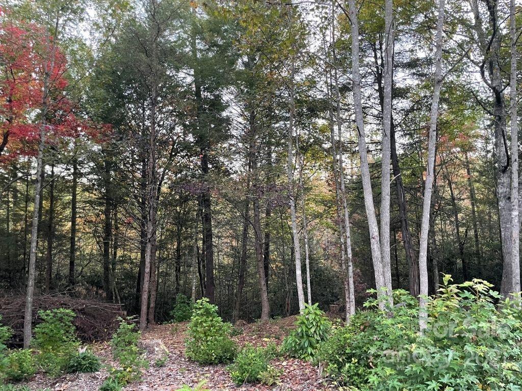 3882 Fish Hatchery Road, Unit RMU Morganton, NC 28655 - Photo 3 of 16 Gallery Image 3