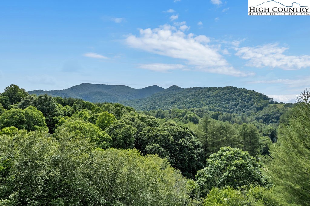 498 Jake Blackburn Road Lansing, NC 28643 - Photo 46 of 47 Gallery Image 46
