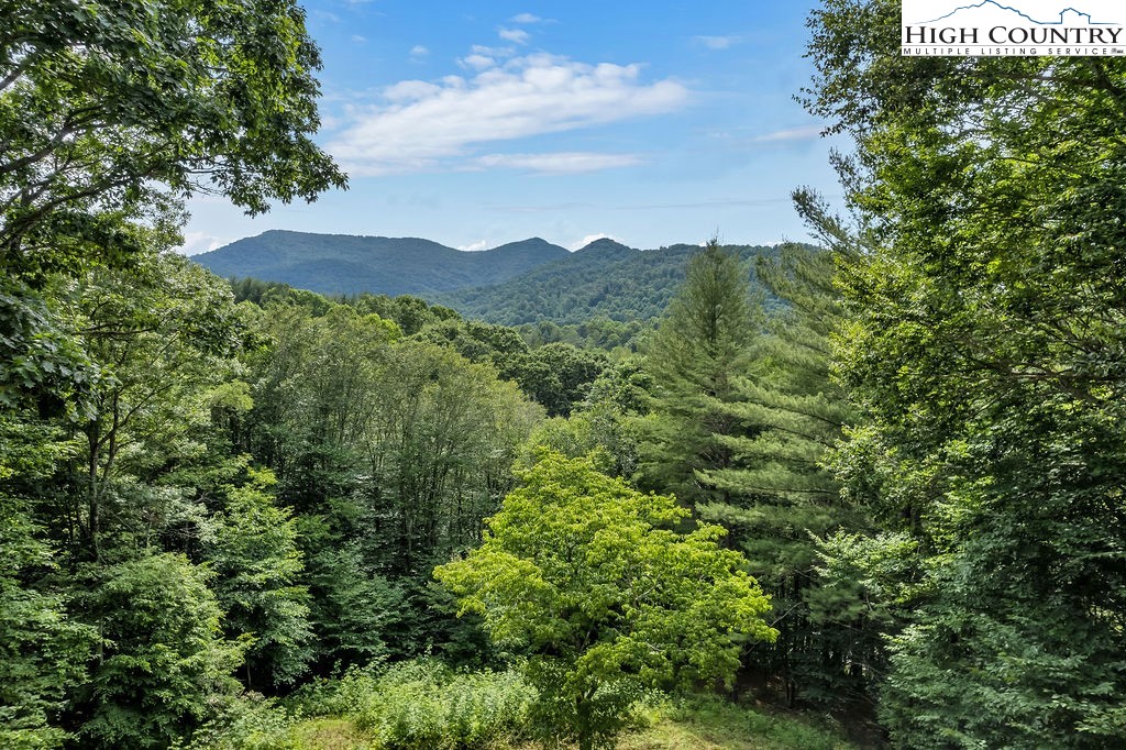498 Jake Blackburn Road Lansing, NC 28643 - Photo 47 of 47 Gallery Image 47