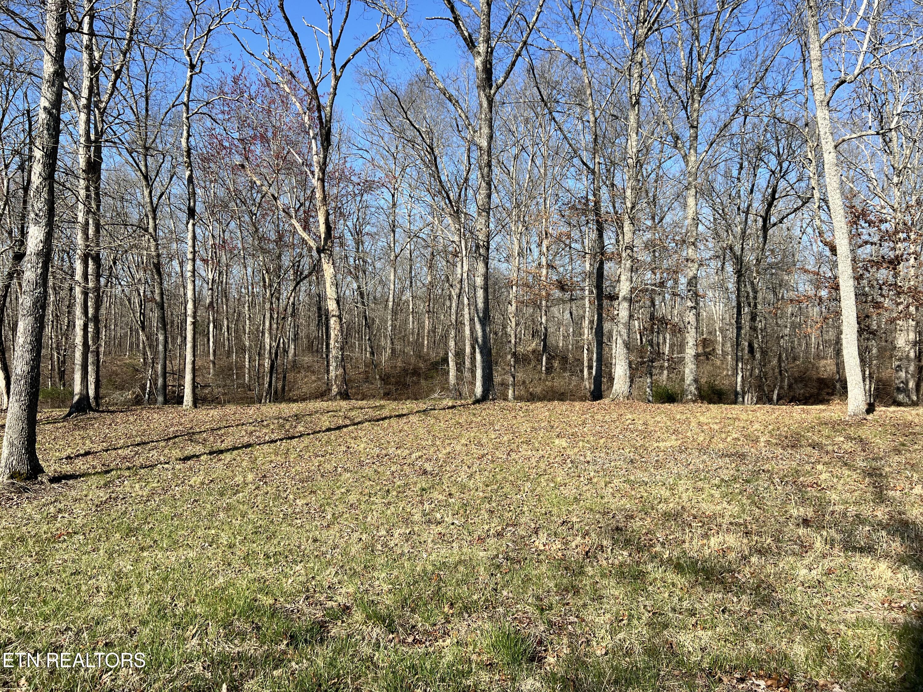 9 Bluff View Loop Crossville, TN 38571 - Photo 1 of 1 Lot 9 Catoosa Ridge