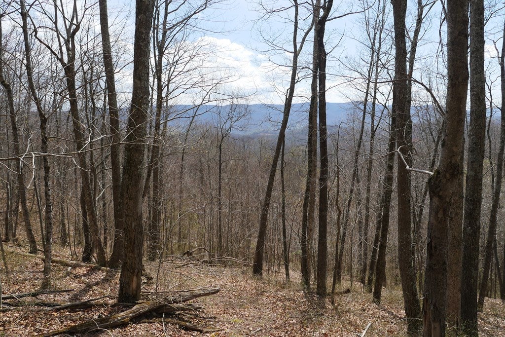 Tbd Unity Road, Unit 1 North Tazewell, VA 24630 - Photo 11 of 92 Gallery Image 11