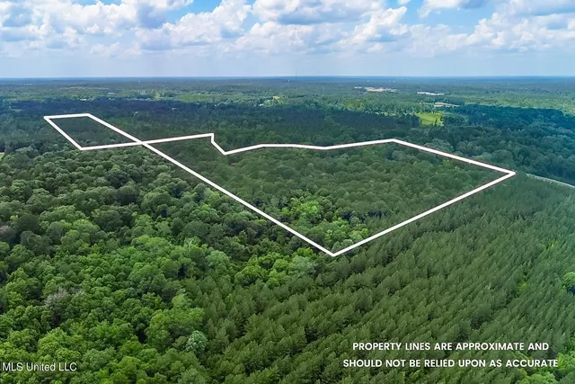 $449,900 | 2710 US 49, Collins, MS 39428