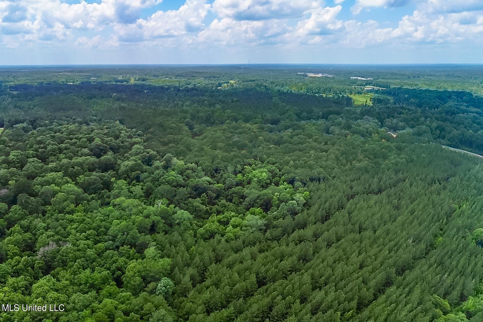 2710 US 49 Collins, MS 39428 - Photo 15 of 25 2710 US 49-4