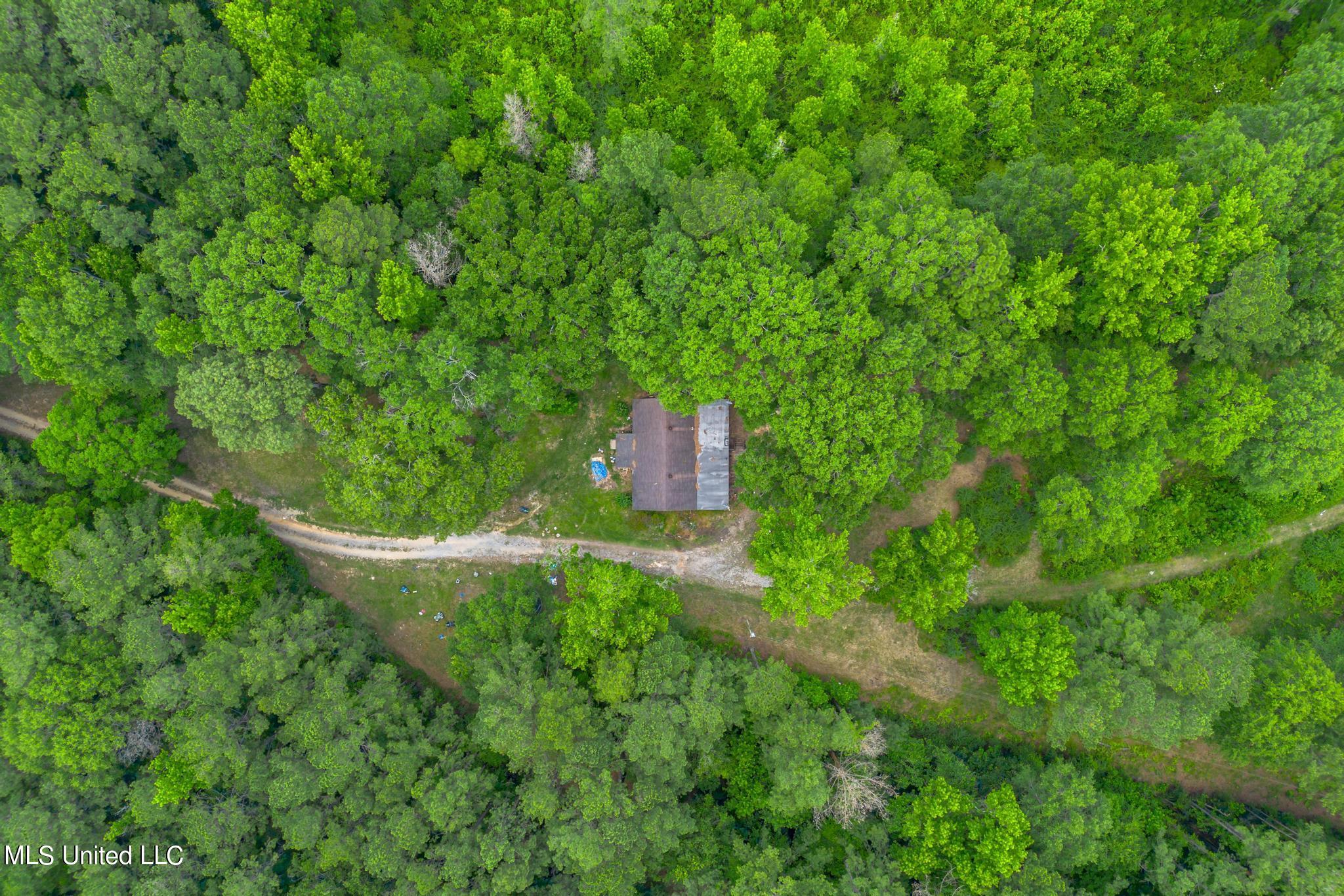 2710 US 49 Collins, MS 39428 - Photo 16 of 25 2710 US 49-5