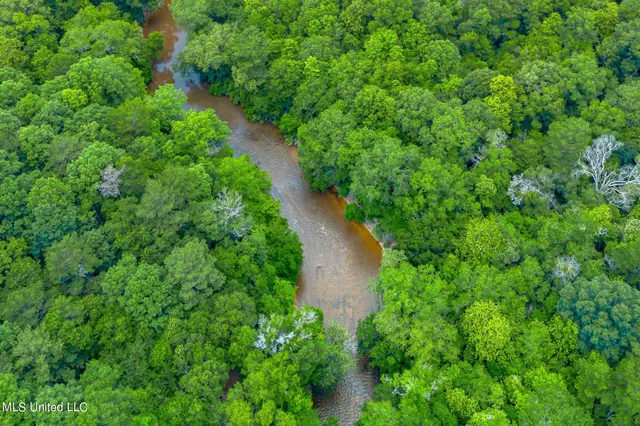 $449,900 | 2710 US 49, Collins, MS 39428