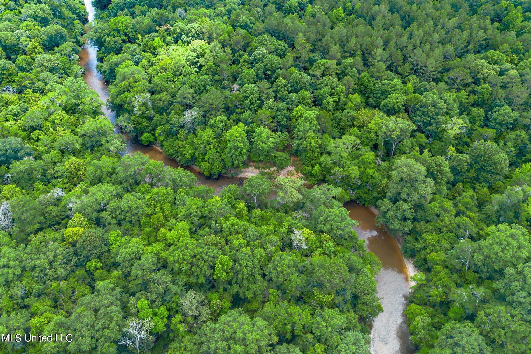 2710 US 49 Collins, MS 39428 - Photo 20 of 25 2710 US 49-10