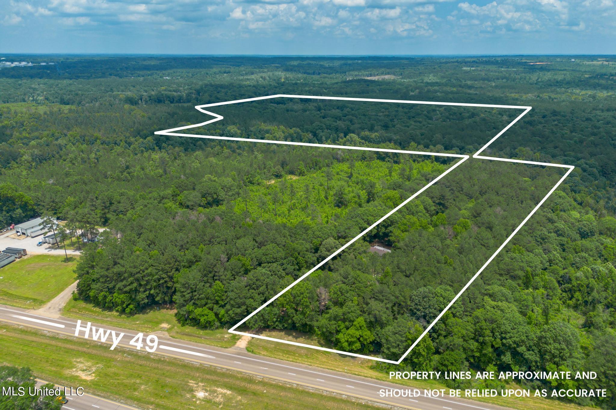 2710 US 49 Collins, MS 39428 - Photo 2 of 25 2710 US 49-1