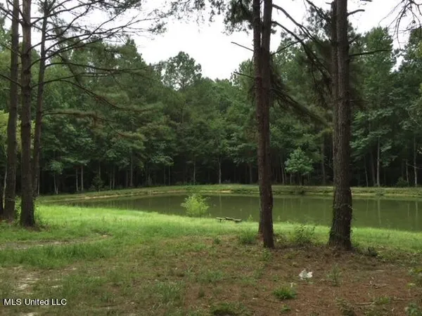 $449,900 | 2710 US 49, Collins, MS 39428