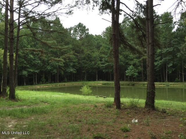 2710 US 49 Collins, MS 39428 - Photo 21 of 25 IMG_3325