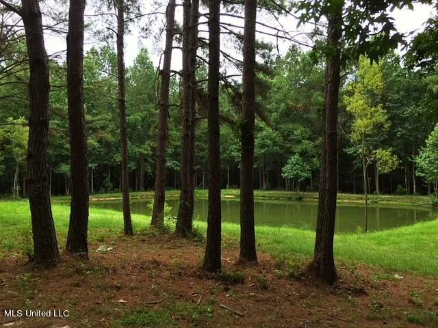 $449,900 | 2710 US 49, Collins, MS 39428