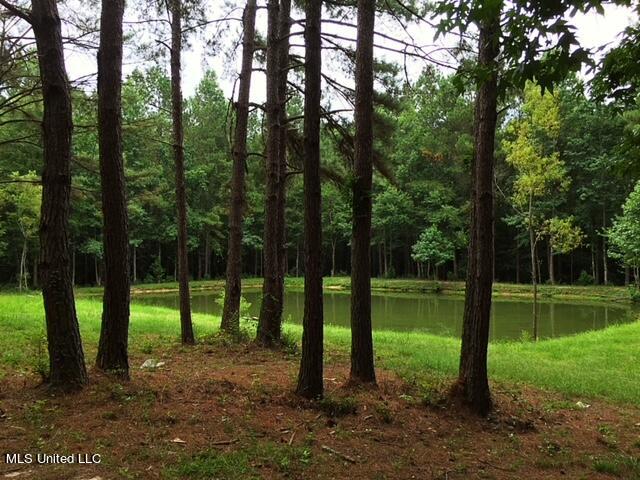 2710 US 49 Collins, MS 39428 - Photo 22 of 25 IMG_3348